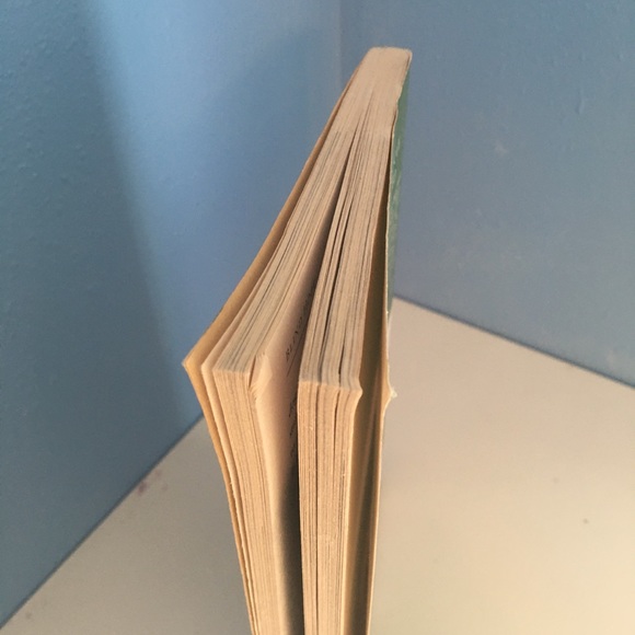 Blind Hope: An Unwanted Dog and the Woman She Rescued by Laurie Sacher a… - Picture 7 of 8